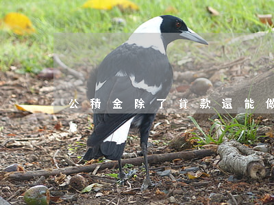 公積金除了貸款還能做什么？